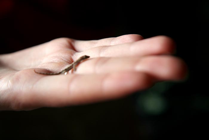South America 11.12-12.3.08, Part 16: Easter Island—Day Three 11.24.08