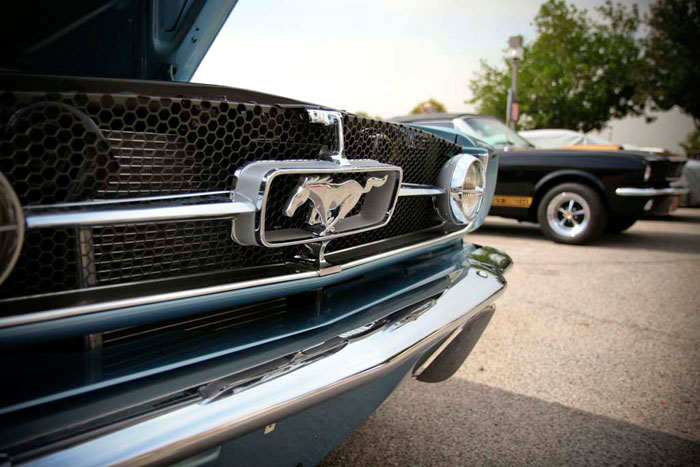 Mustang Show 8.28.09