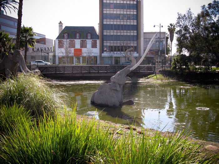 La Brea Tar Pits 1.23.10