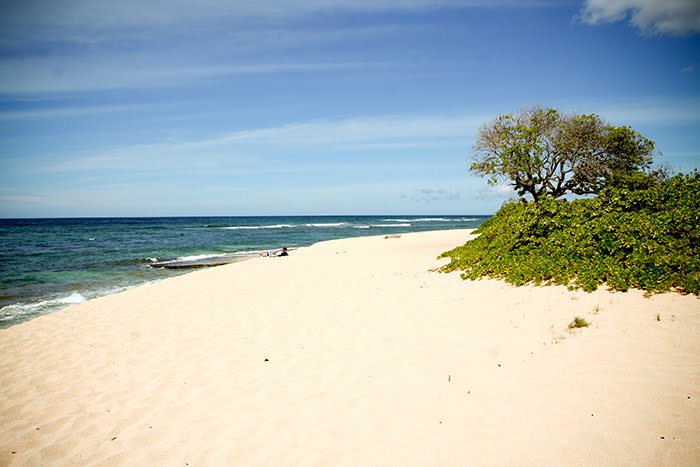 Hawaii 9.5-12.10, Part 6: Oahu—North Shore 9.11.10