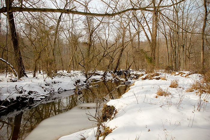 The East, Part 3: New Jersey (South) 12.31.10