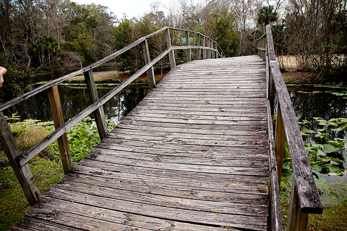 Florida, Part 3: 1.15.11