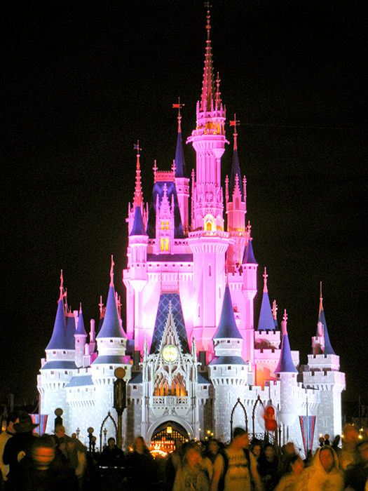 Florida, Part 4: The Magic Kingdom, 1.15.11