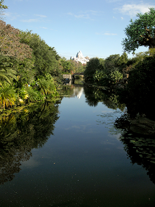 Florida, Part 5: Disney's Animal Kingdom, 1.16.11