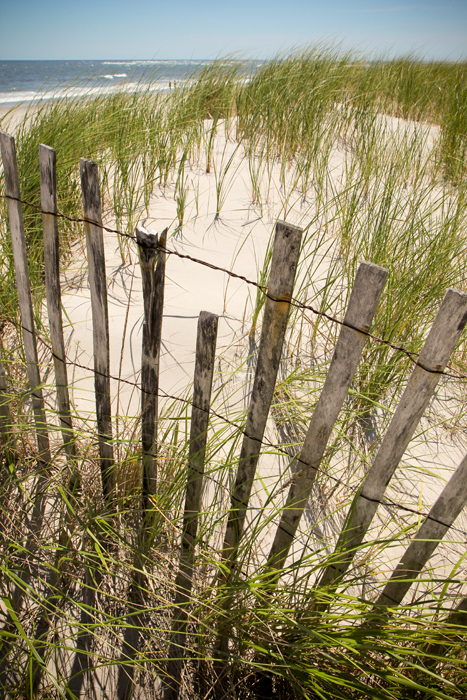 New Jersey, Day 2: Ocean City beach 7.14.11