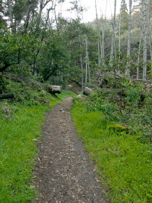 Winter Creek 3.9.13