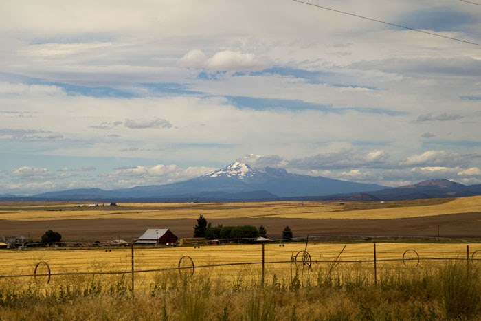 Project Patch, Goldendale, WA 8.17-18.13