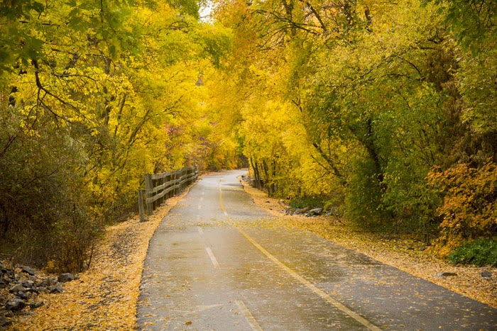 Fall in Salt Lake City 10.11-14.13