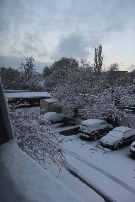 Snow! (Happy Guy Fawkes Day) 11.5.13