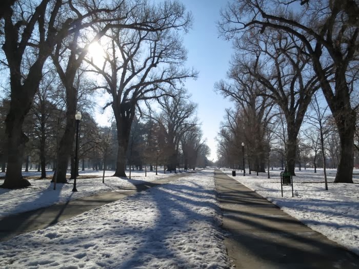 Liberty Park 1.18.14