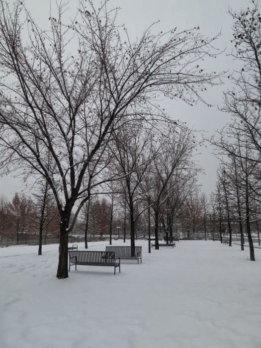 The Year's First Snowstorm 1.9.14