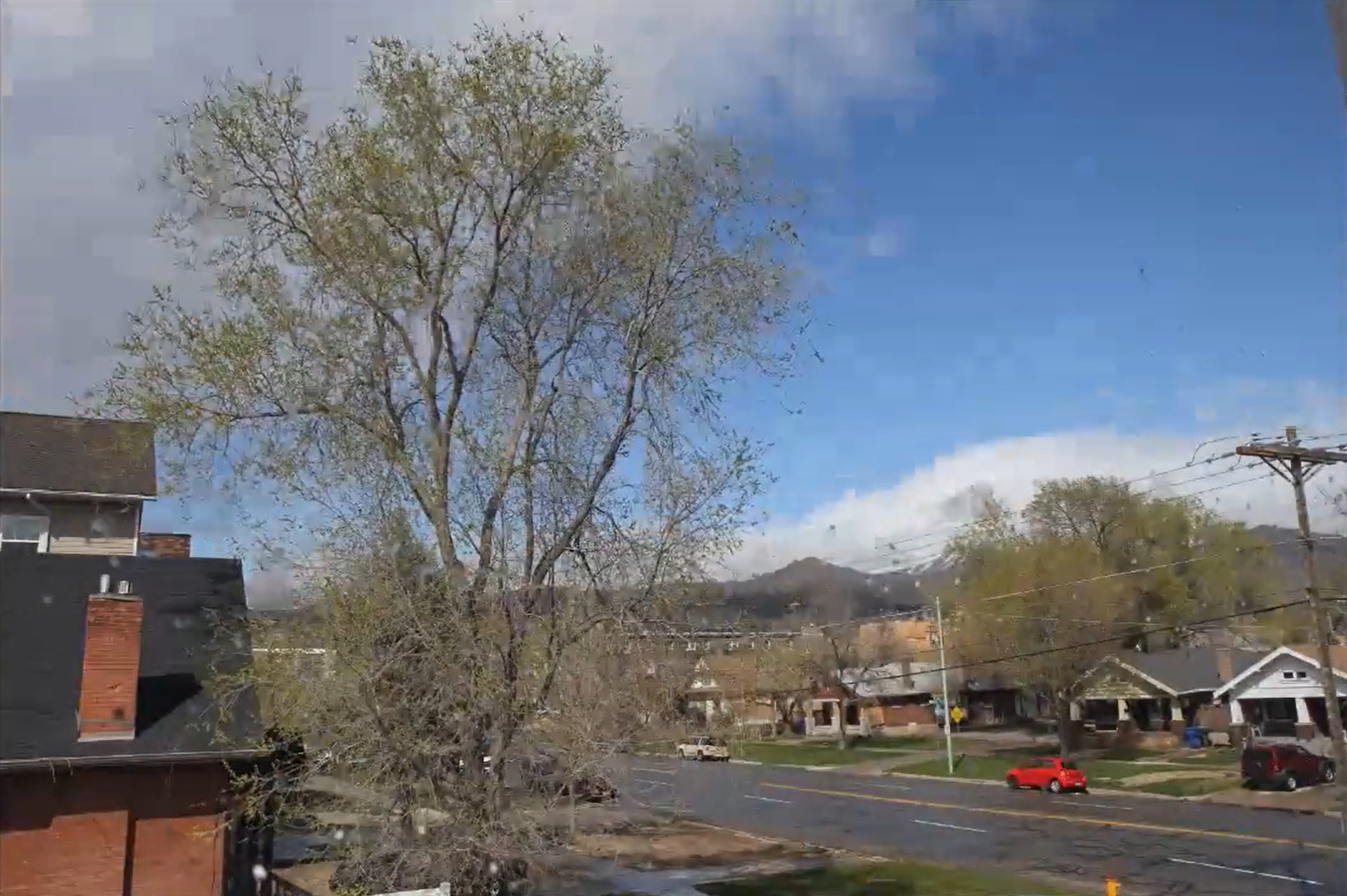 Spring in Salt Lake City 4.6.14