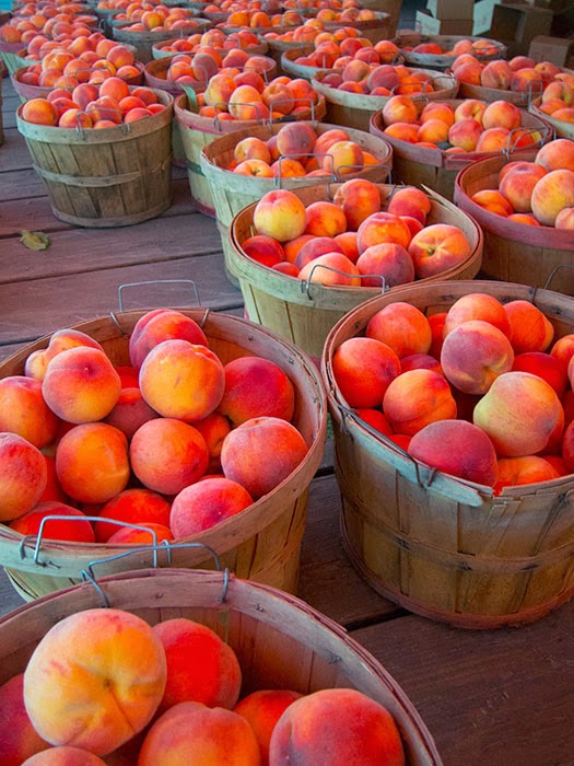 Pettingill's Fruit & Produce 8.2.14