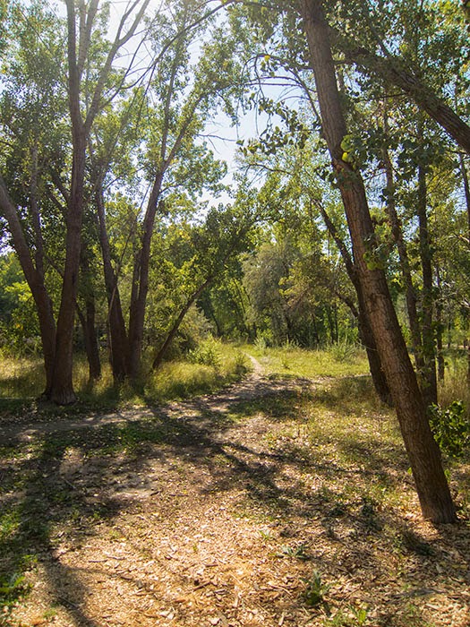Jordan River Parkway Trail, Attempt Two 9.13.14
