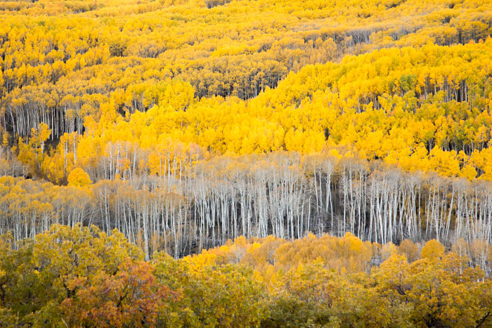 Fall Break Part A, the Southwest Part 9: Scenic Highway 12 10.12.15