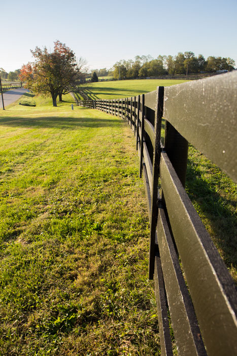 Fall Break Part B, the Midwest Part 3: Lexington 10.15-16.15