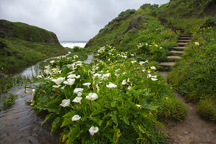 Spring Break, Part 1: Big Sur 3.12-13.16