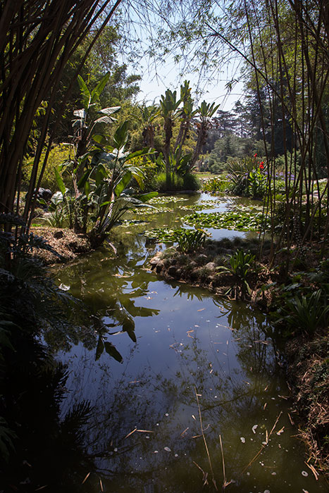 Huntington Gardens 6.26.16