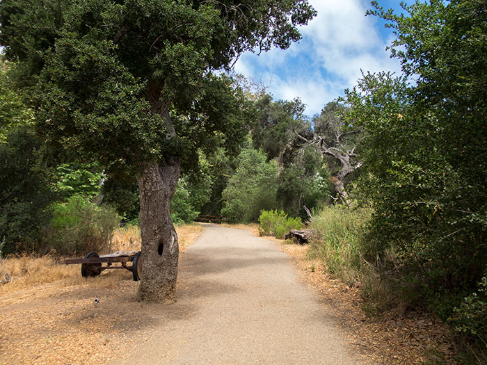Solstice Canyon 7.2.16