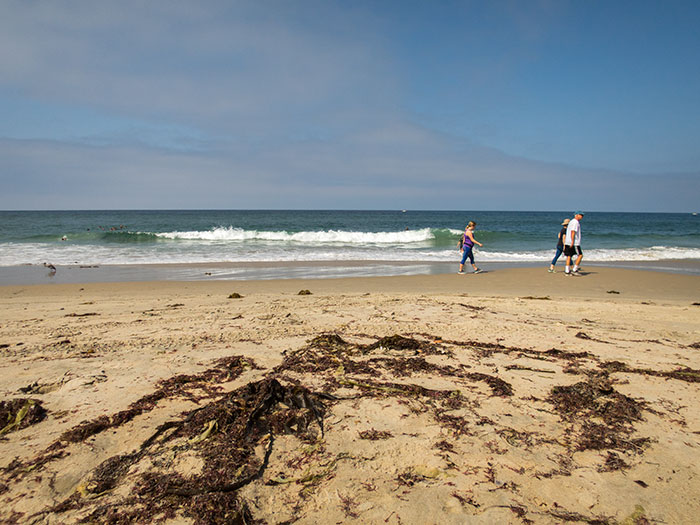 Salt Creek Beach 7.31.16