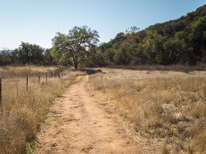 Thanksgiving, Part 4: Ventura River Preserve 11.25.16