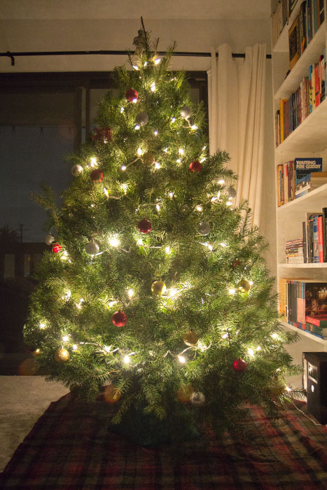 O Christmas Tree 11.29.18