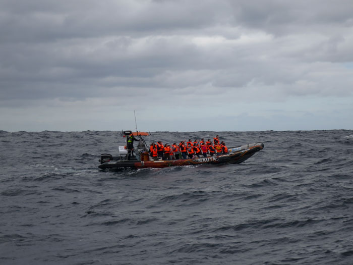 The Azores, Part 2: Terceira - Whale Watching and Volcanoes 4.5.19