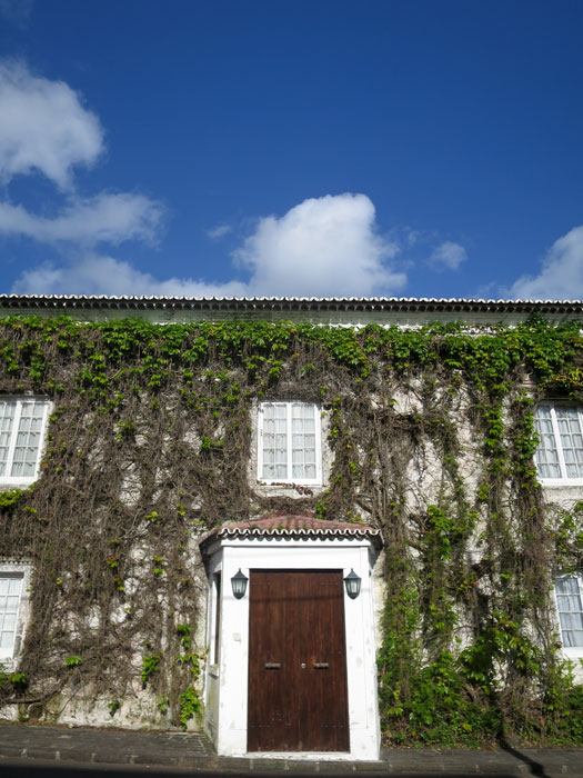 The Azores, Part 5: São Miguel - West 4.7.19