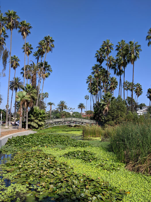 Echo Park and Sage 10.13.19