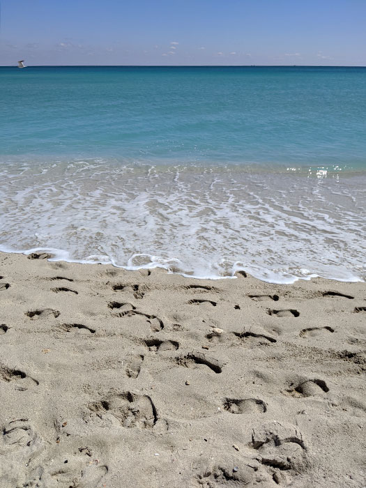 The Vegan Cruise, Part 6: Miami 2.28.20