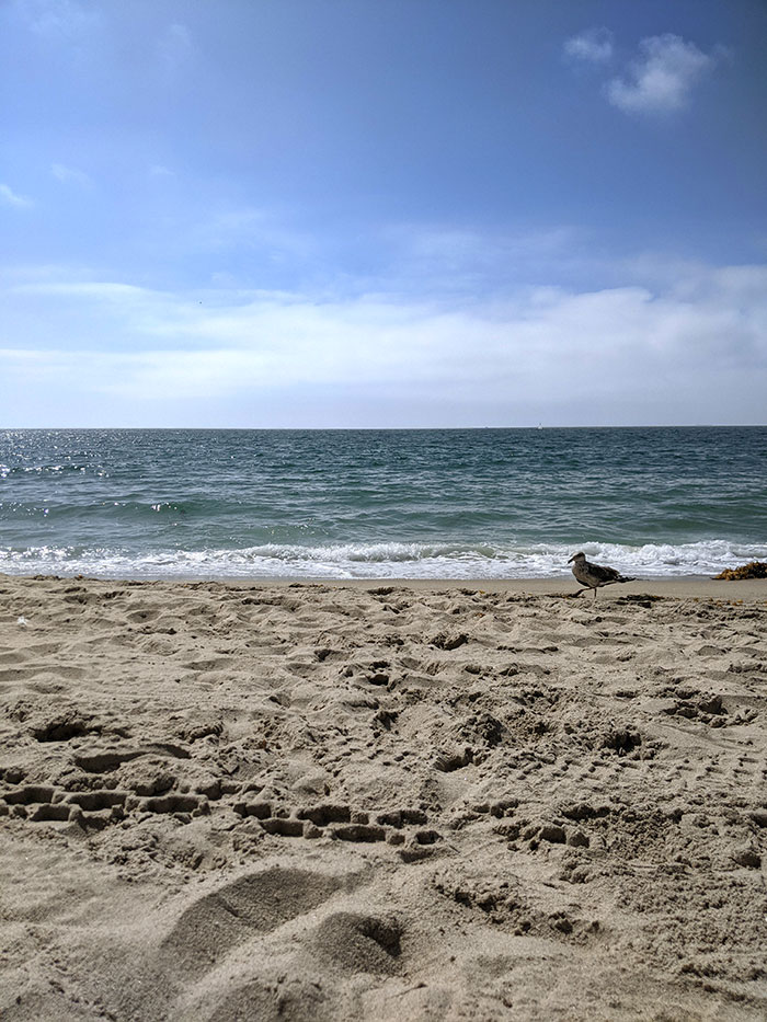Working Remotely Forever 8.30.21