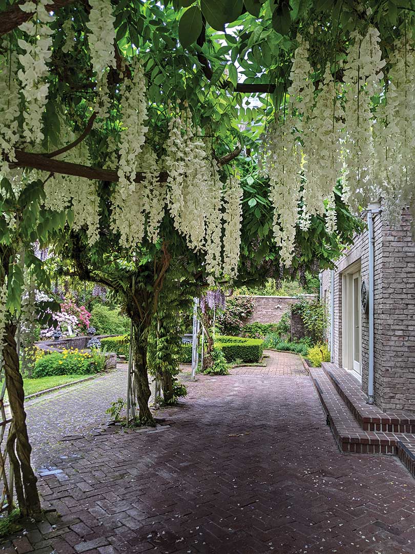 Lakewold Gardens 5.27.22