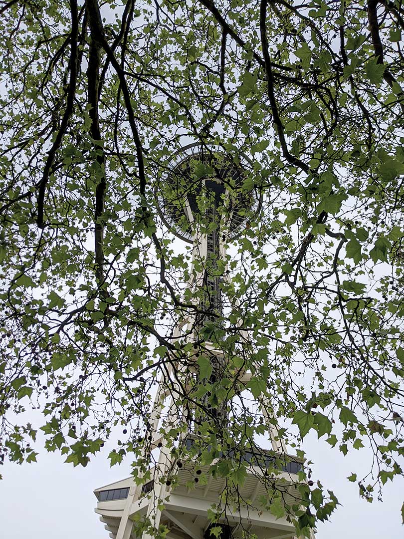 The Space Needle 5.28.22