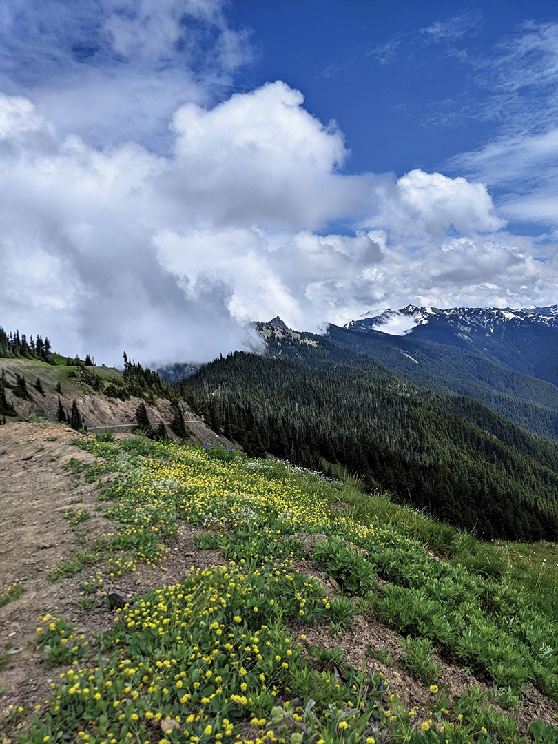 Olympic National Park, Part 1: Hurricane Ridge 7.9.22