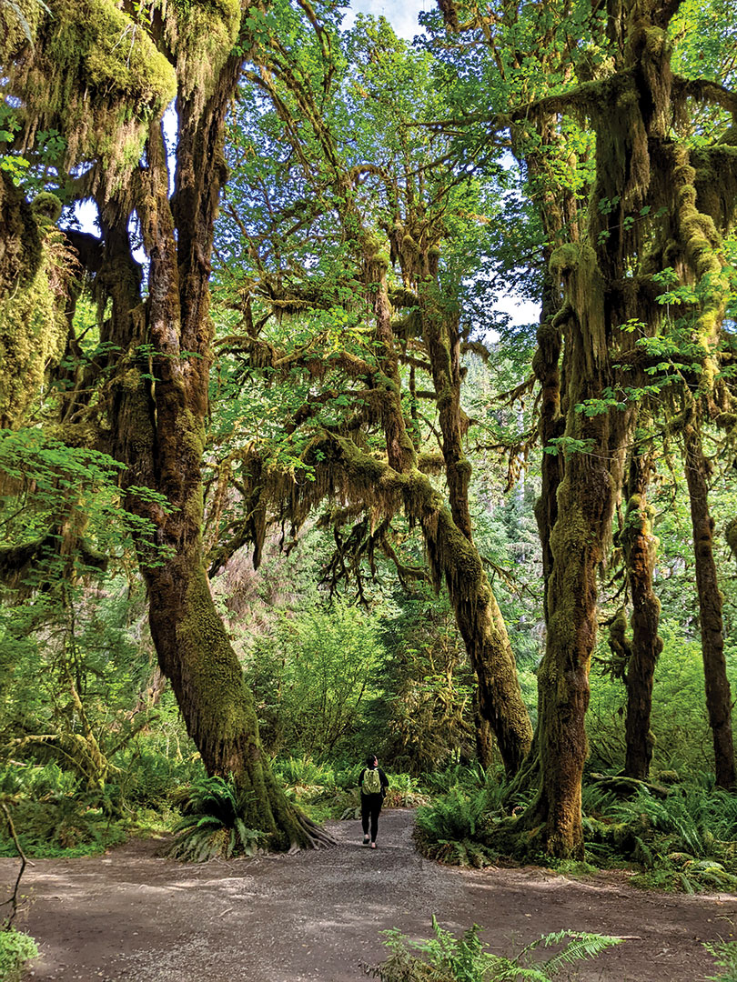 Olympic National Park, Part 2: Hoh Rainforest 7.10.22