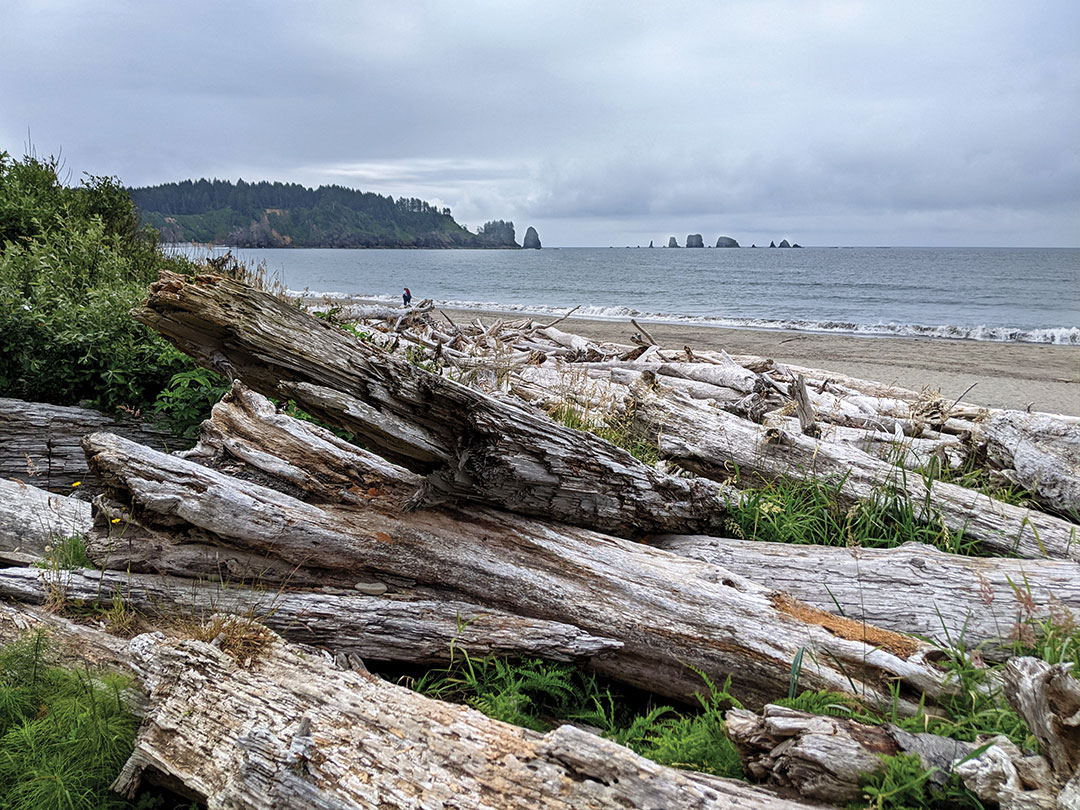 Olympic National Park, Part 3: La Push 7.10.22