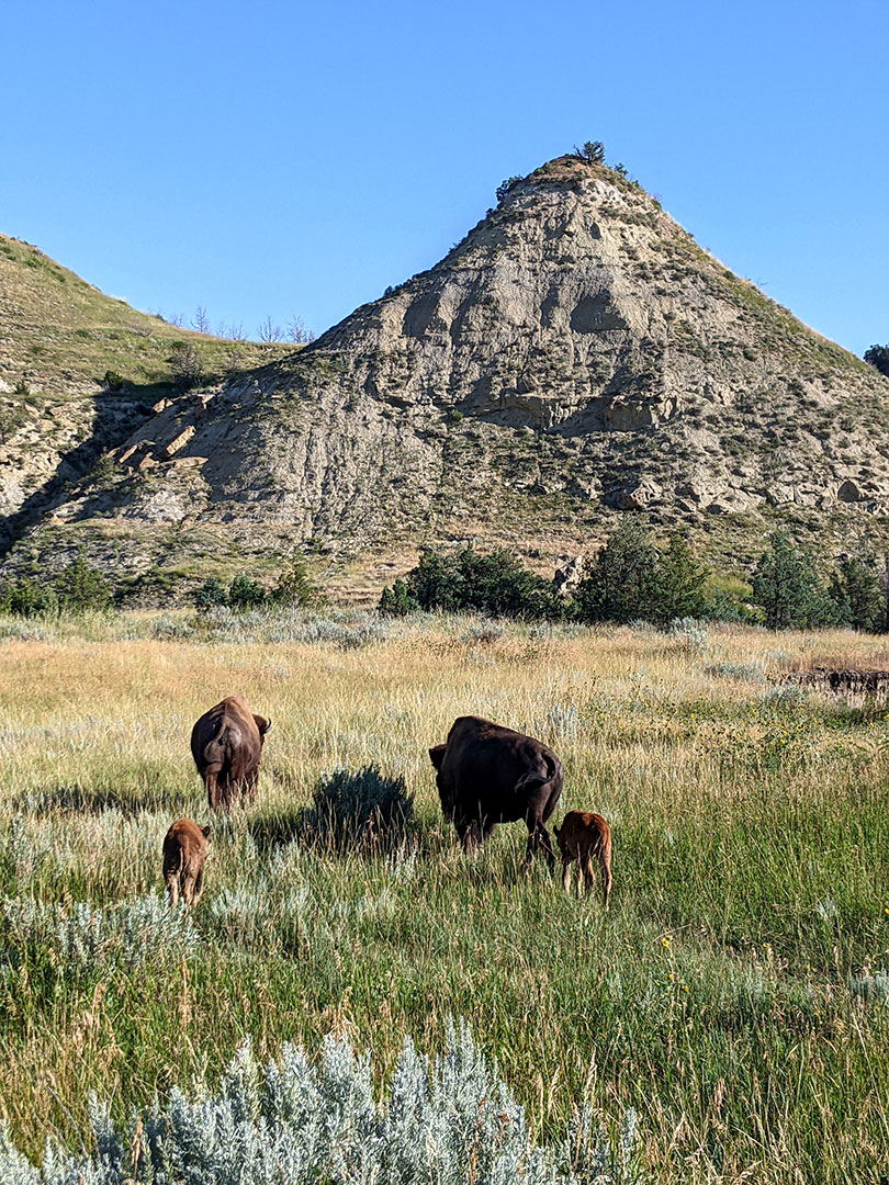 Theodore Roosevelt National Park 8.16.22