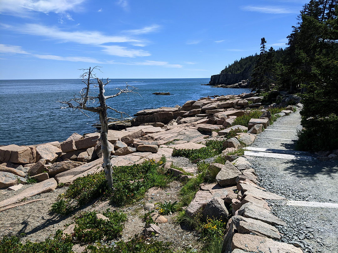 Acadia National Park, Part 2: Ocean Path 9.3.22