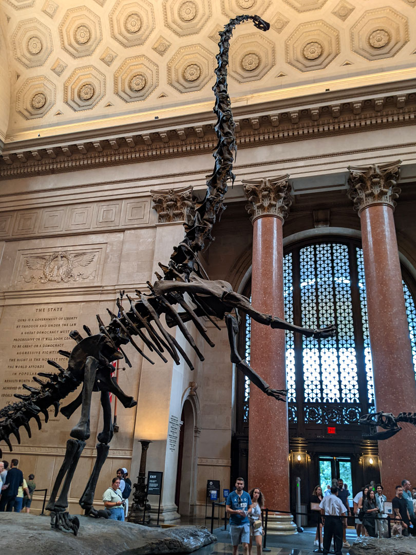 American Museum of Natural History 8.28.22