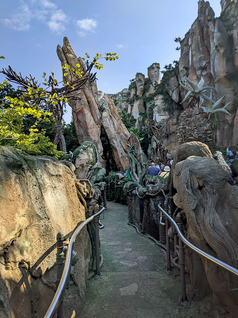 Animal Kingdom 12.4.22