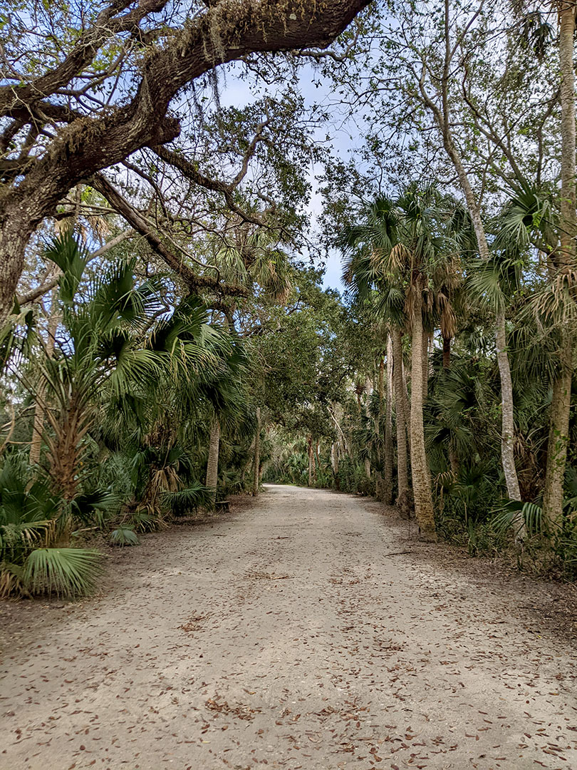 Canaveral National Seashore 12.10.22