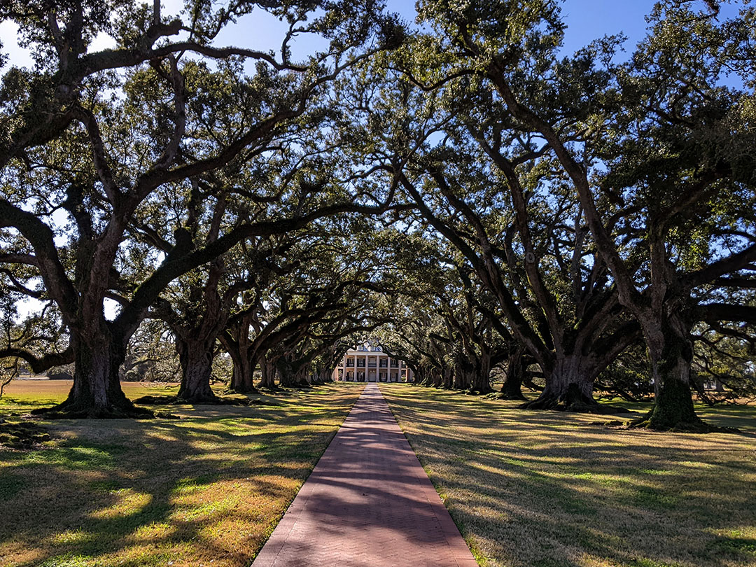Oak Alley Plantation 1.7.23