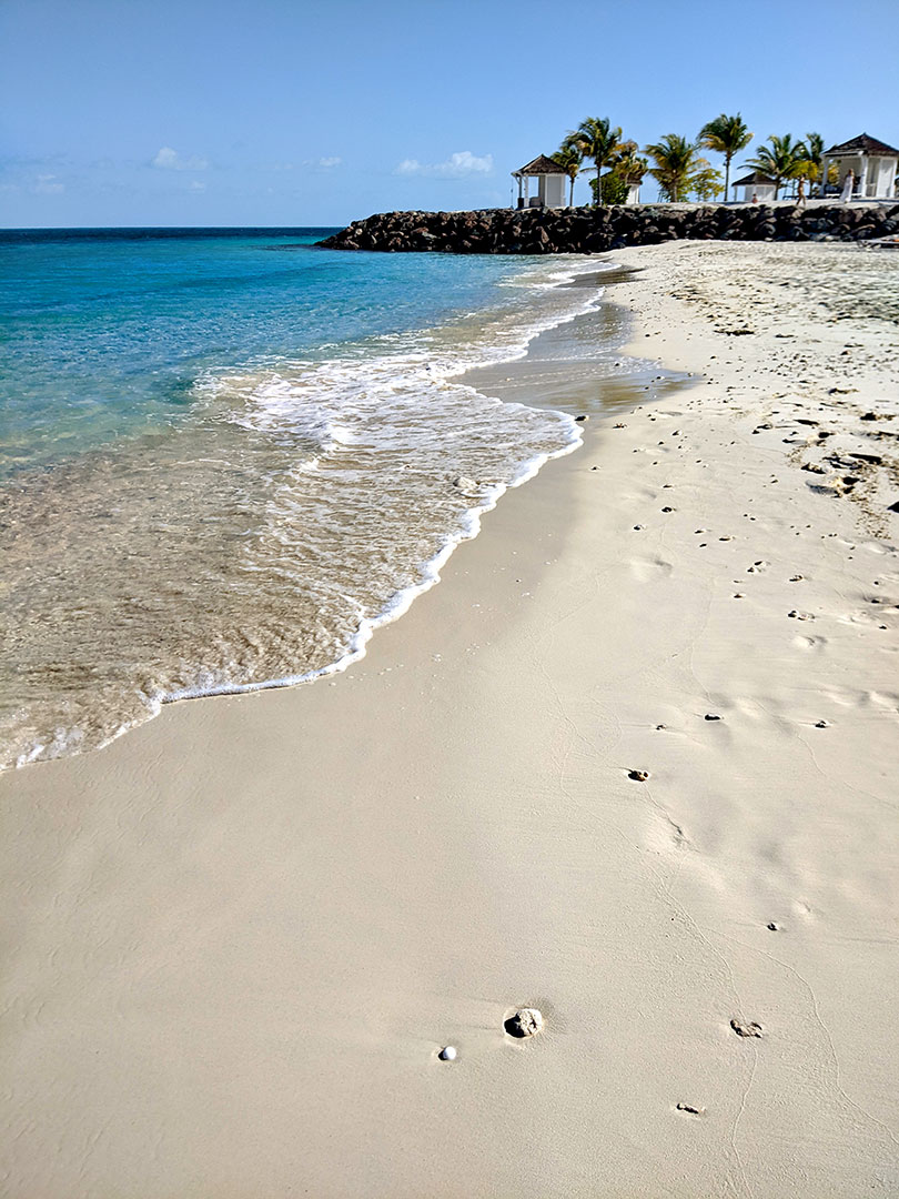 Vegan Cruise, Part 5: Ocean Cay, Bahamas 3.23.23