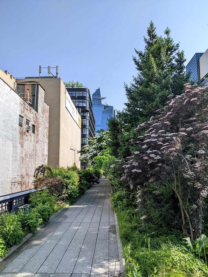 The High Line 5.16.23
