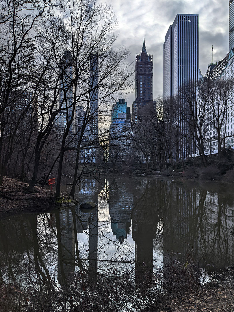 New York in winter 1.13-15.24
