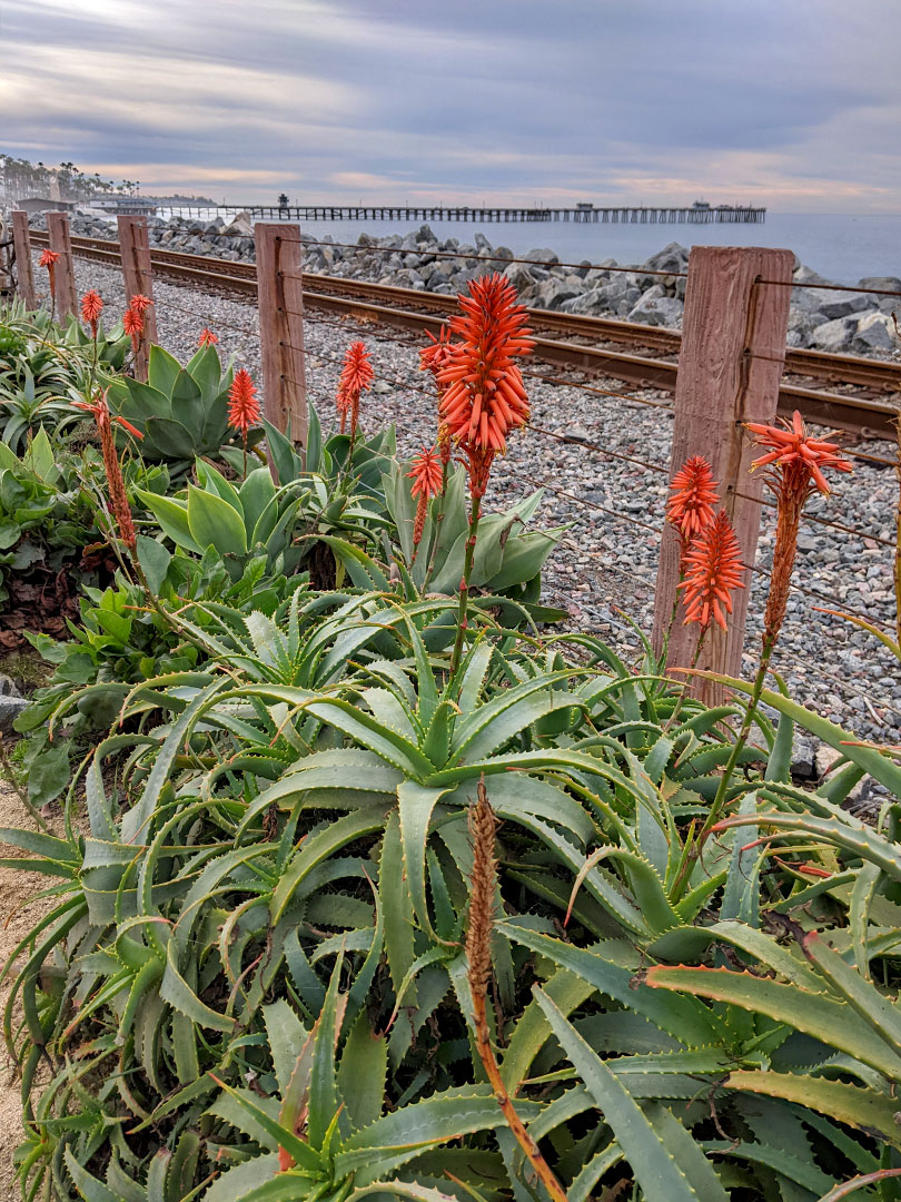 San Clemente 4.7.24