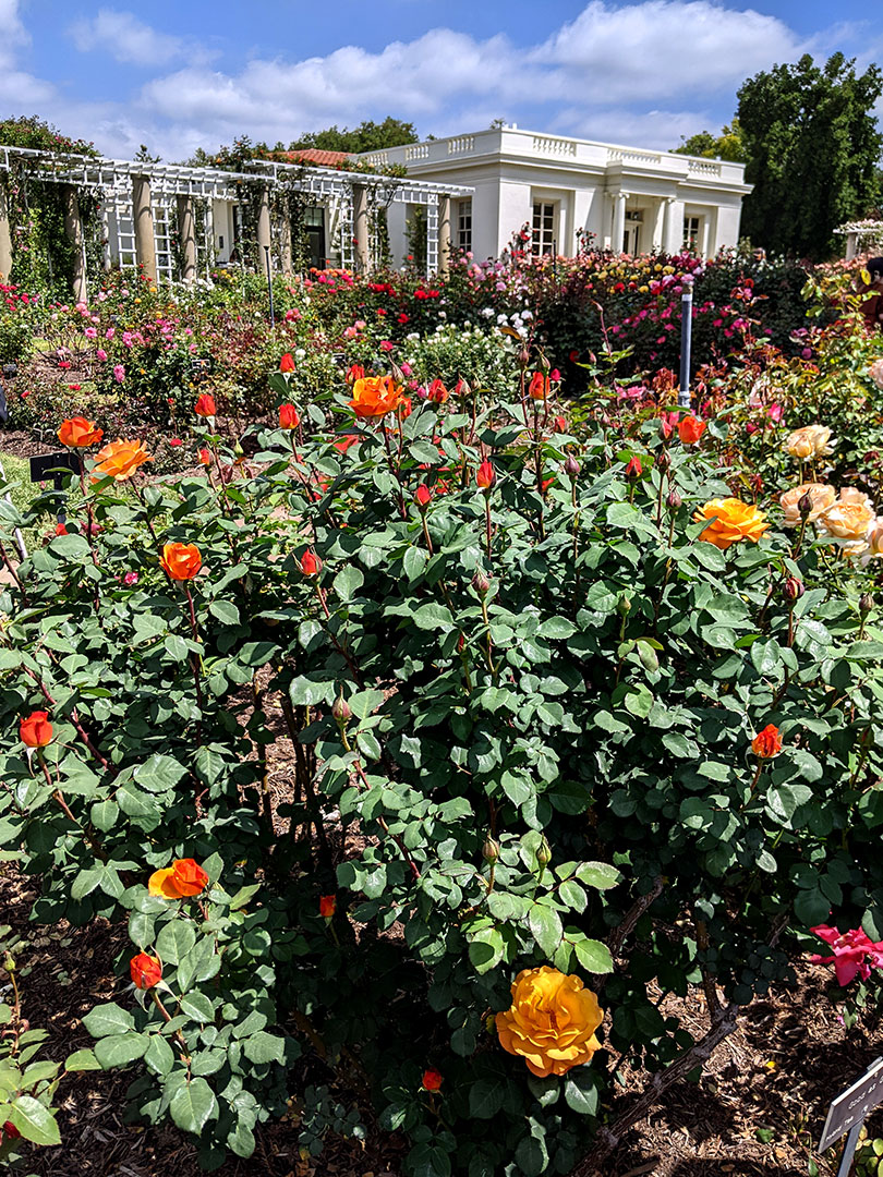 The Huntington 4.27.24
