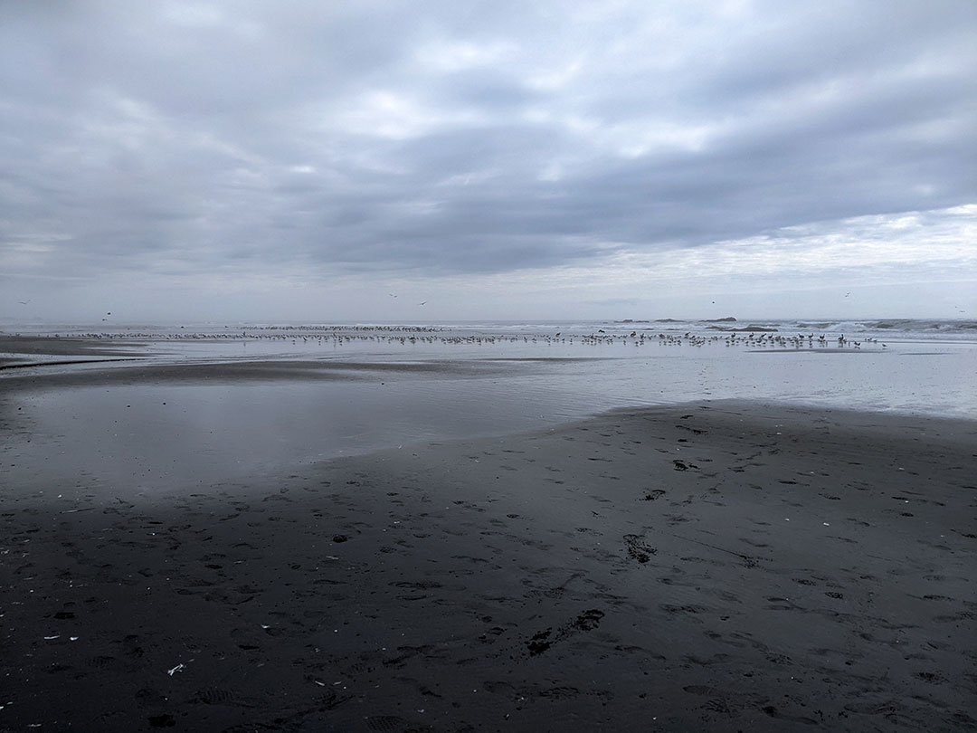 Kalaloch 8.3.25