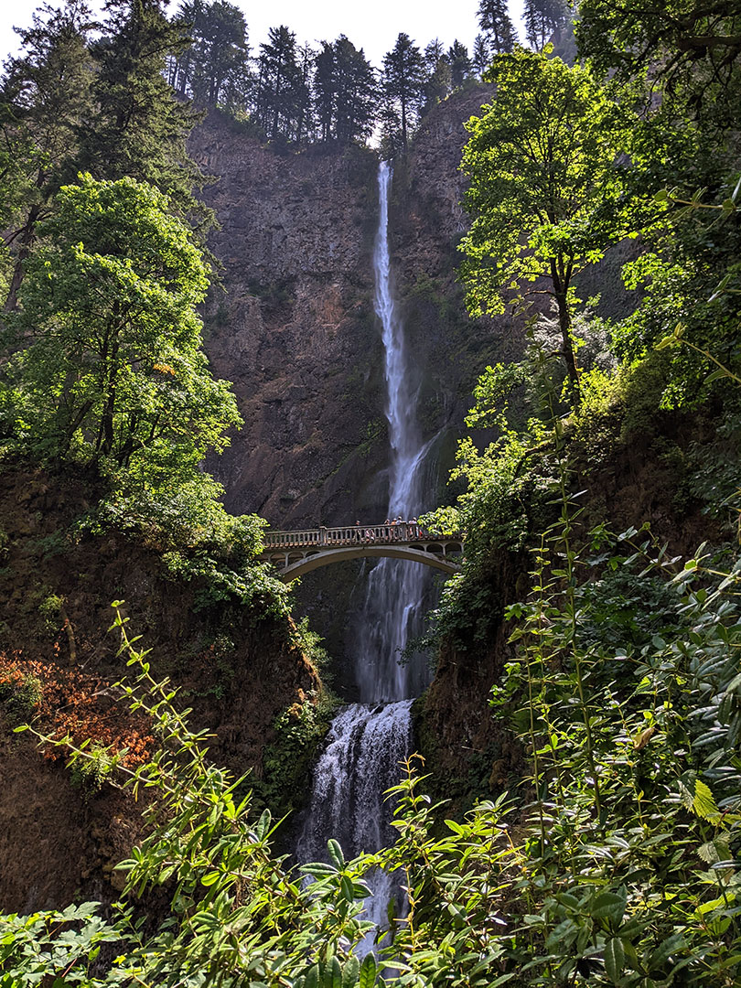 Multnomah Falls 8.5.25