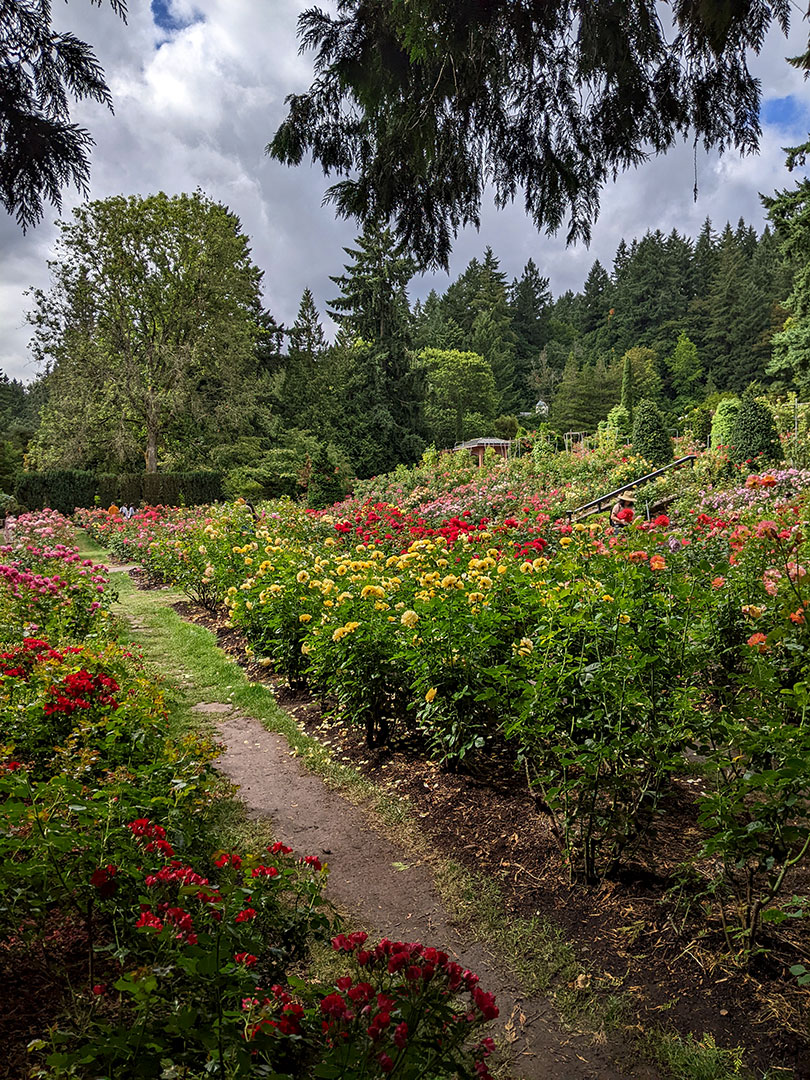 Washington Park 8.6.25